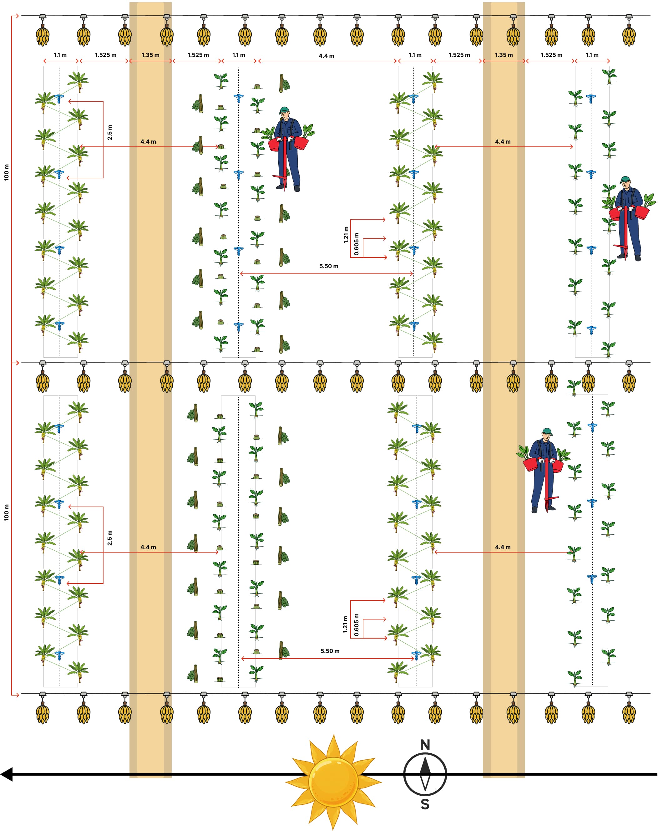 Precision plantation layout